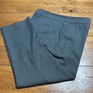 Ann Taylor Factory 10P Ankle Pant